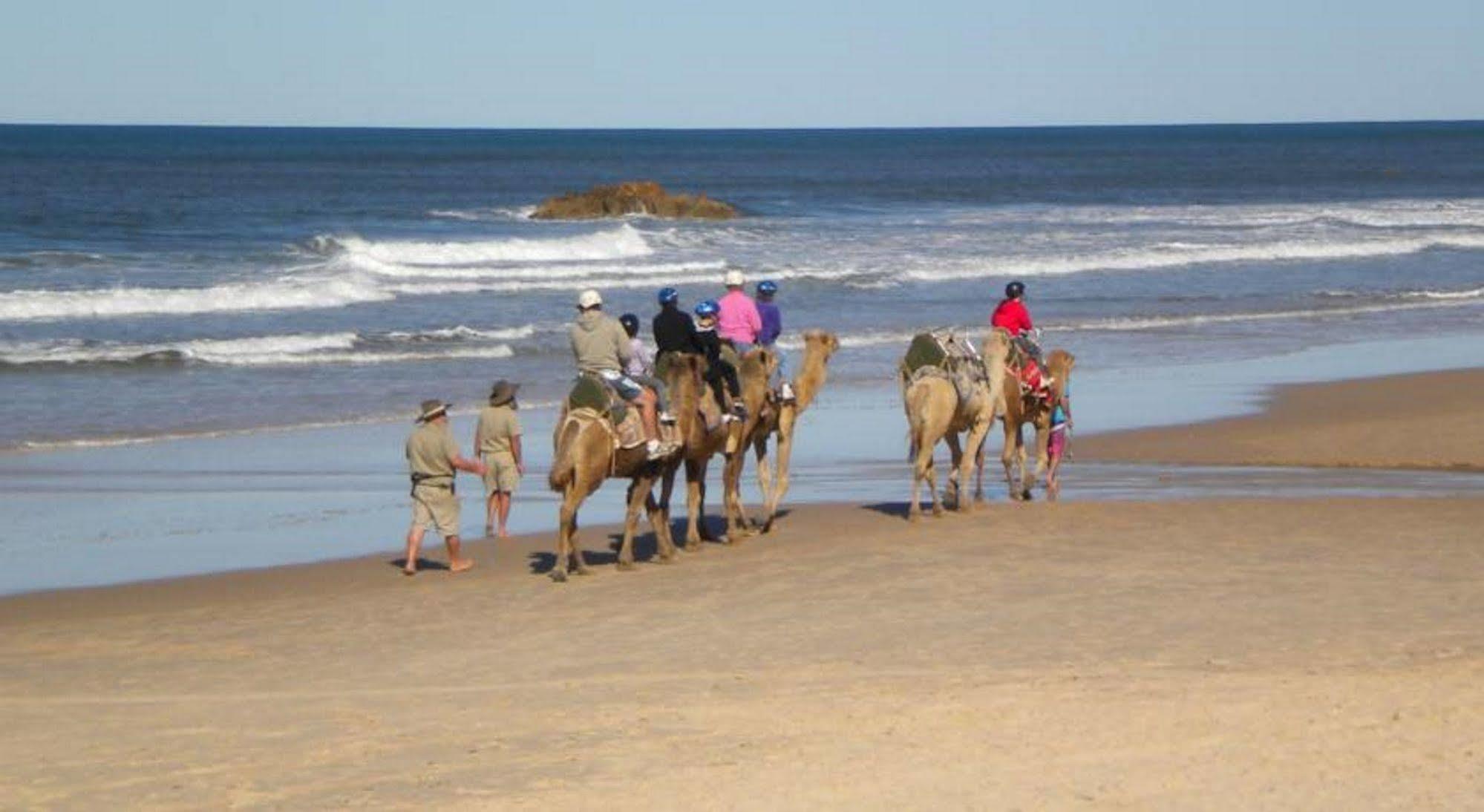 ميناء ماكواري Flynns Beach Resort المظهر الخارجي الصورة